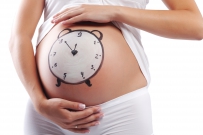 Урок 1 Беременность и подготовка к родам. Ответы на вопросы