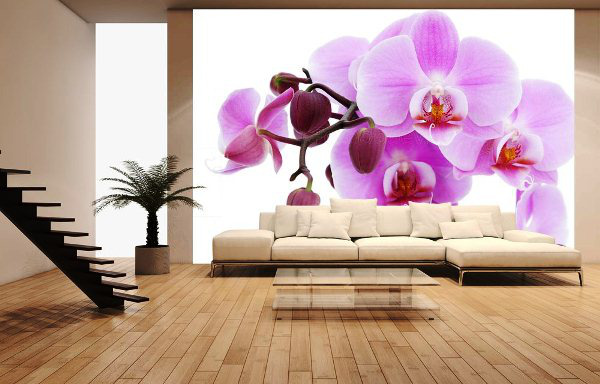 Модный стиль: орхидеи в интерьере